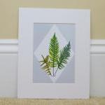 Botanical Print..