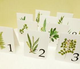 Woodland Wedding Table Cards, table Tents of Vintage Botanicals, Leaf Table Numbers