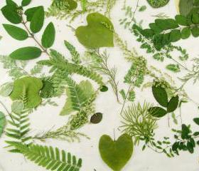Woodland Wedding Leaves, Woodland Wedding, Green Leaves, Table Decoration