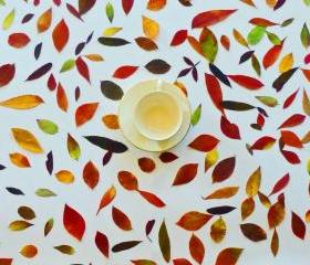 Autumn Confetti Leaves, Qty of 200, Autumn Table Decor, Flower Girl Toss, Thanksgiving Table Decoratin