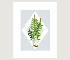 Vintage Botanical illustrations Meet Modern Day Cottage Art, Botanical Art Prints, 8x10