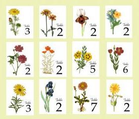 Autumn Floral Table Cards, Vintage Illustrations as Table Numbers