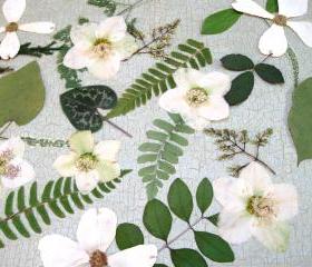 Woodland Leaves with White Accents, Wedding Decor, Table Decorations, Woodland Themes, Qty. of 60, Green Leaves with White Flowers