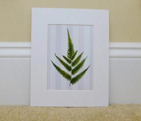 Vintage Botanical illustrations Meet Modern Day Cottage Art, Botanical Art Prints, 8x10