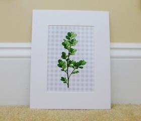 Vintage Botanical illustrations Meet Modern Day Cottage Art, Botanical Art Prints, 8x10