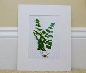 Vintage Botanical illustrations Meet Modern Day Cottage Art, Botanical Art Prints, 8x10