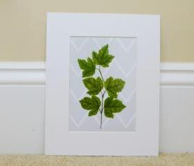Vintage Botanical illustrations Meet Modern Day Cottage Art, Botanical Art Prints, 8x10