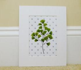 Vintage Botanical illustrations Meet Modern Day Cottage Art, Botanical Art Prints, 8x10