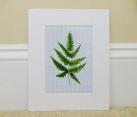 Vintage Botanical illustrations Meet Modern Day Cottage Art, Botanical Art Prints, 8x10