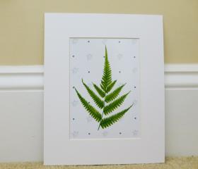 Vintage Botanical illustrations Meet Modern Day Cottage Art, Botanical Art Prints, 8x10