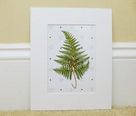 Vintage Botanical illustrations Meet Modern Day Cottage Art, Botanical Art Prints, 8x10