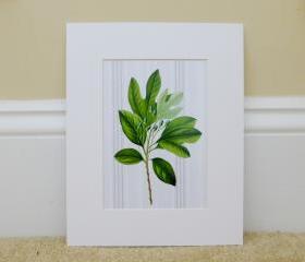Vintage Botanical illustrations Meet Modern Day Cottage Art, Botanical Art Prints, 8x10