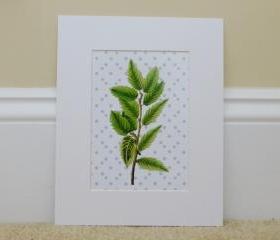 Vintage Botanical illustrations Meet Modern Day Cottage Art, Botanical Art Prints, 8x10