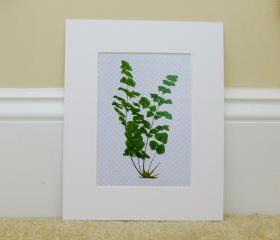 Vintage Botanical illustrations Meet Modern Day Cottage Art, Botanical Art Prints, 8x10