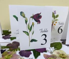 Purple Flower Table Cards, Botanical Floral Table Numbers